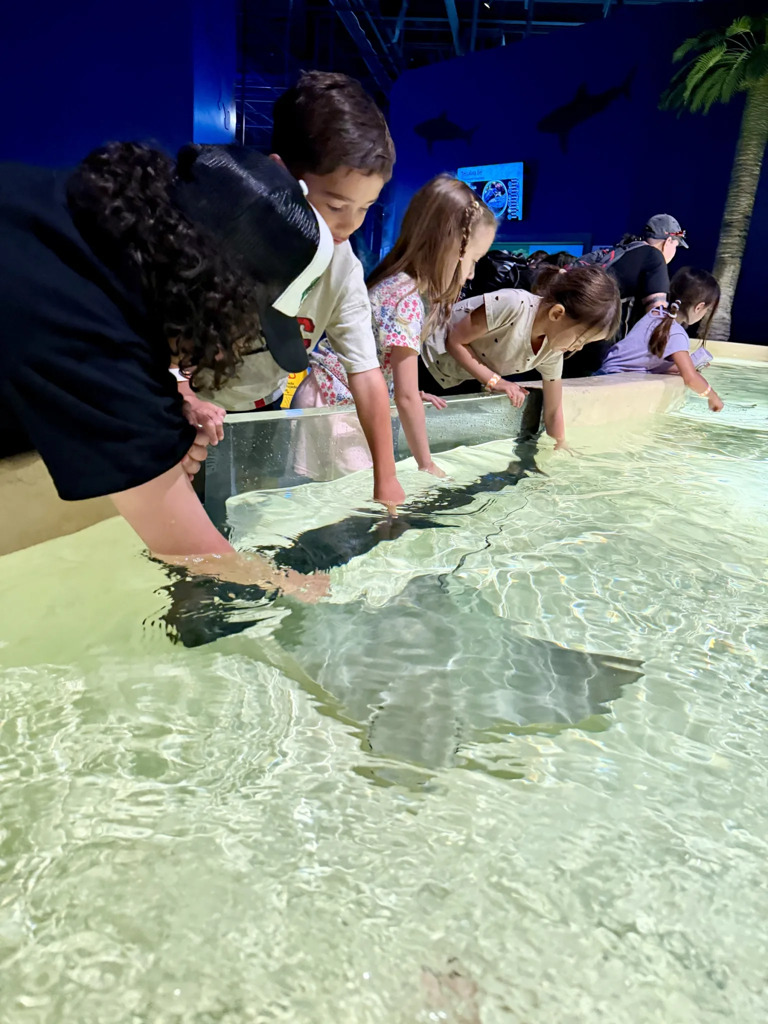 ROC Academy students exploring a touch pool during an aquarium field trip